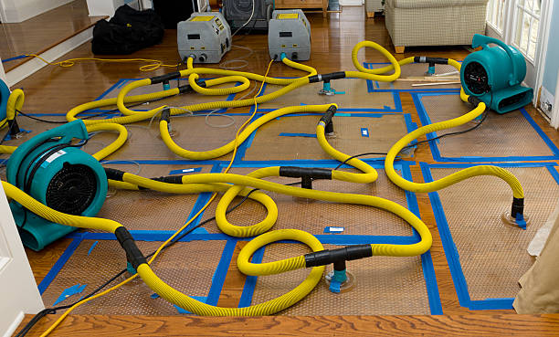 Professional Sewage Cleanup technician working in Kersey, CO